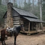 Amazing experiences that evoke joy and wonder