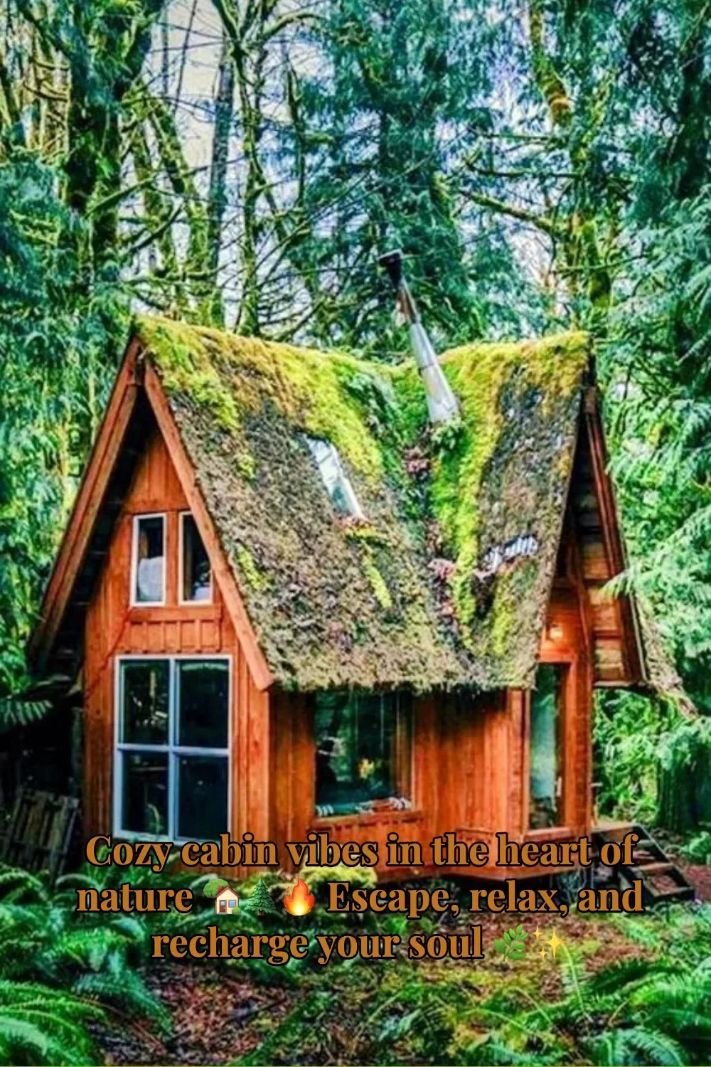 Cozy cabin surrounded by nature, offering relaxation and peace