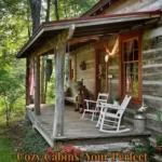 Cozy cabins surrounded by nature, perfect for a peaceful getaway.