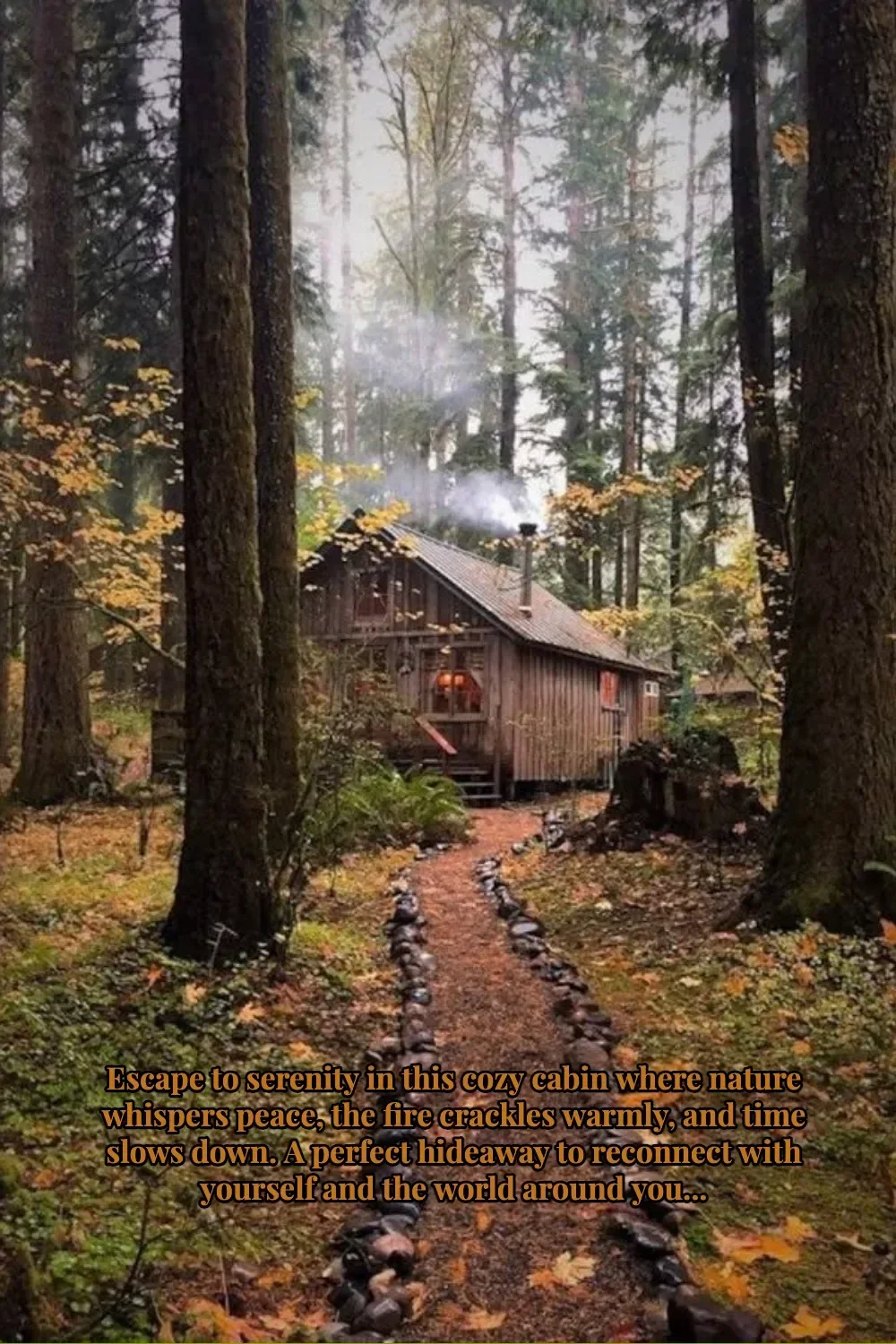 Cozy cabin in nature, inviting warmth and serenity for a perfect getaway.