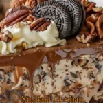 Delicious no-bake German Chocolate Cheesecake topped with coconut and pecans