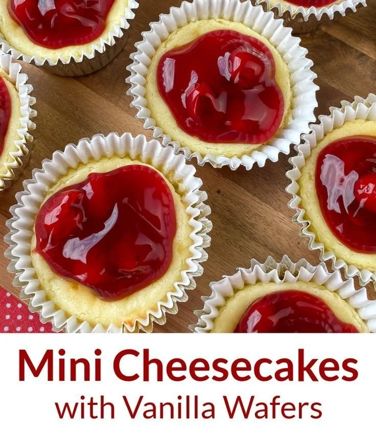 Delicious cherry cheesecake cupcakes topped with fresh cherries