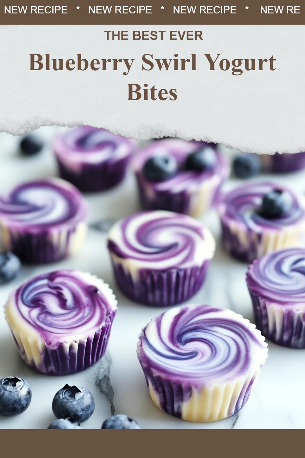 Blueberry Swirl Yogurt Bites