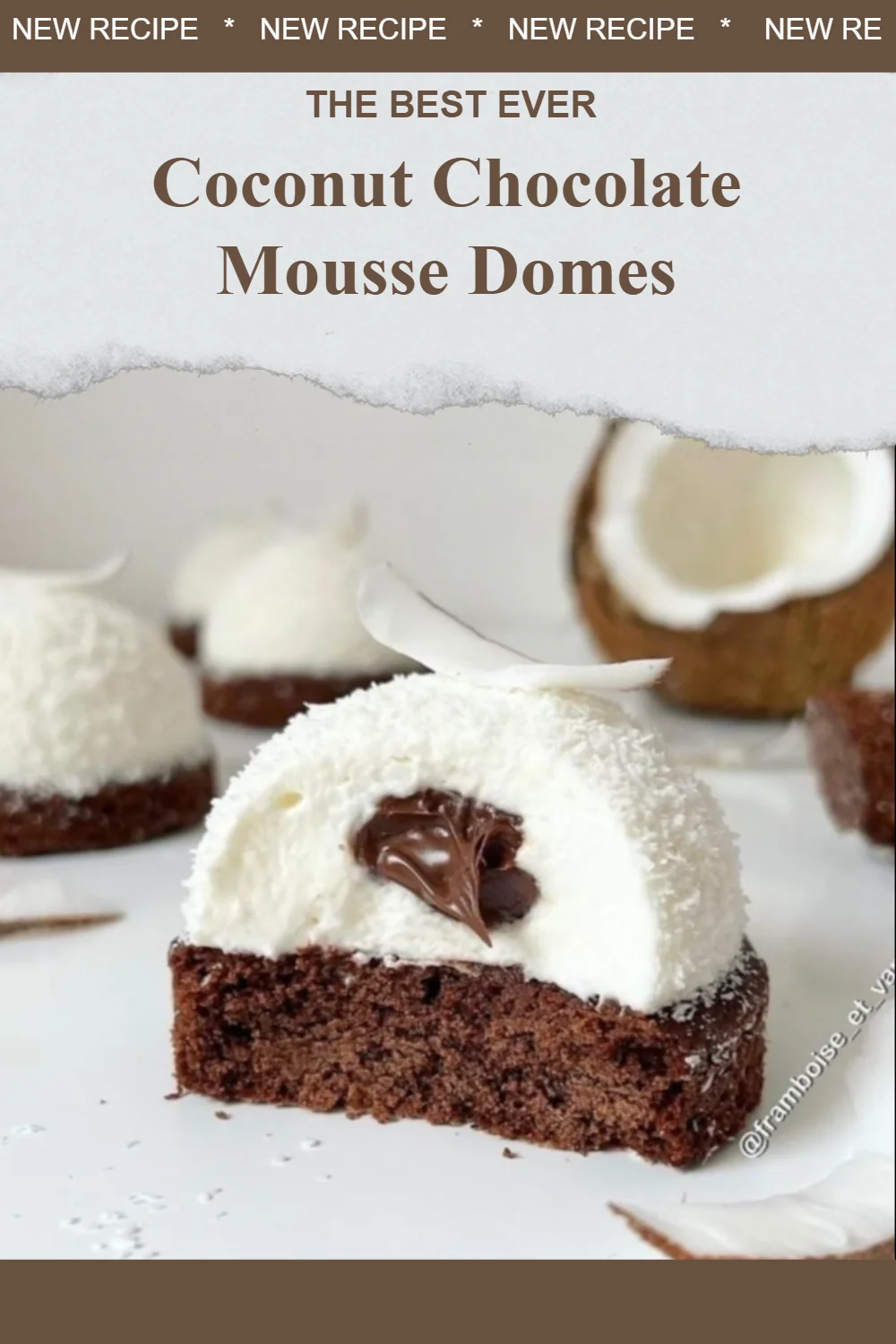 Delicious Coconut Chocolate Mousse Domes garnished with chocolate shavings