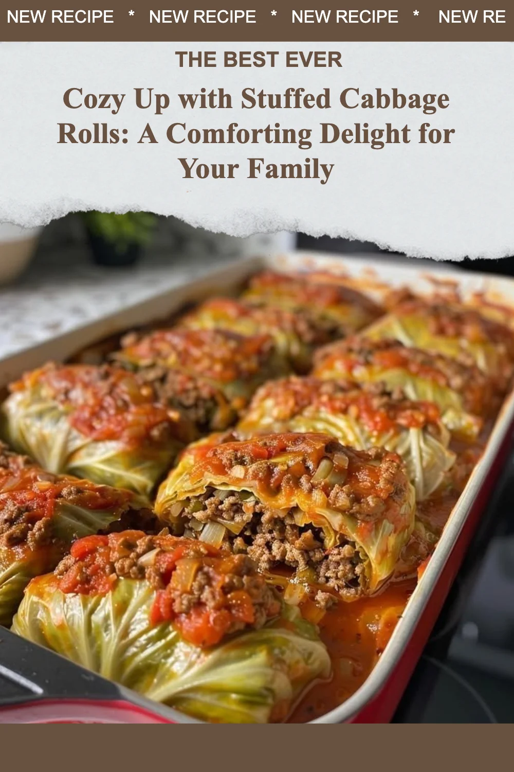 Plate of delicious stuffed cabbage rolls ready to enjoy as a comforting family meal.