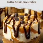Paradise Cheesecake