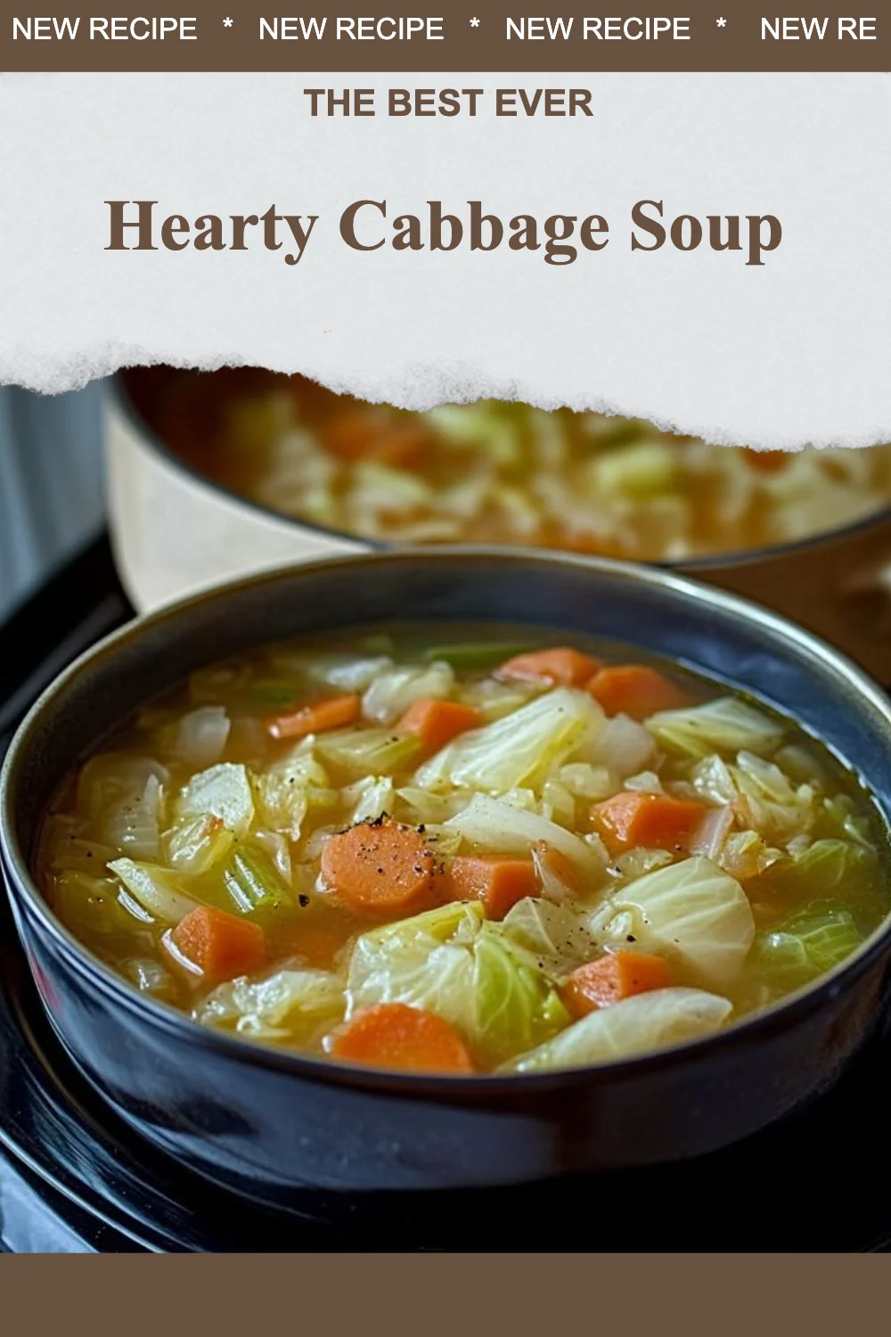 Bowl of hearty cabbage soup with vegetables and herbs
