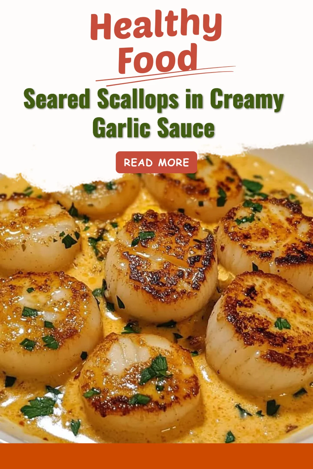 Delicious seared scallops served in a creamy garlic sauce
