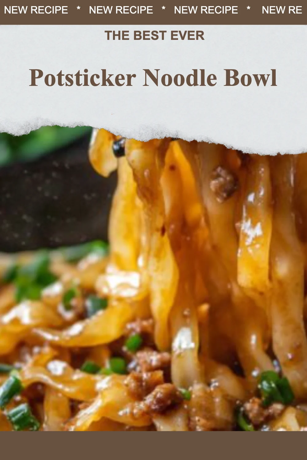 Delicious potsticker noodle bowl garnished with fresh herbs and vegetables