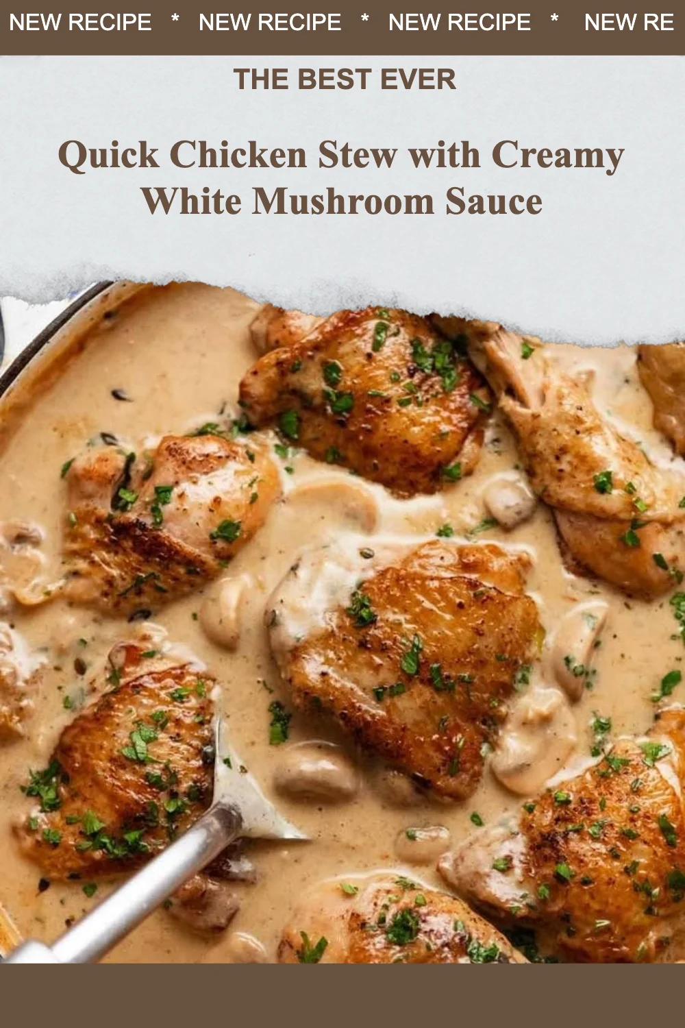 Quick chicken stew with creamy white mushroom sauce served in a bowl