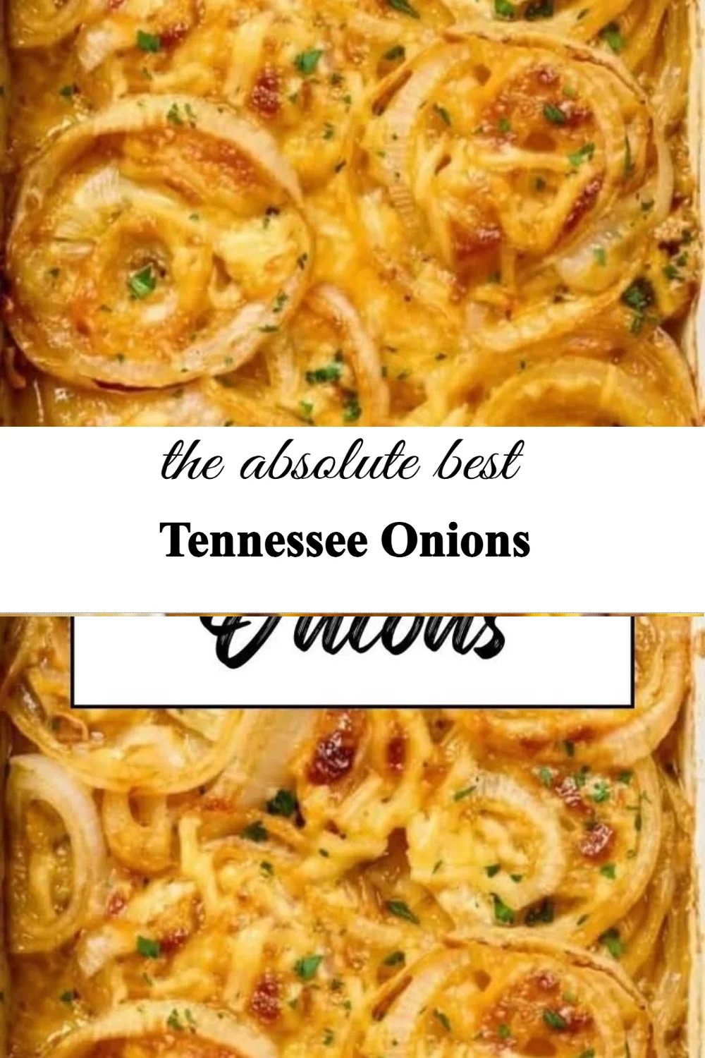 Fresh Tennessee onions ready for cooking and culinary use